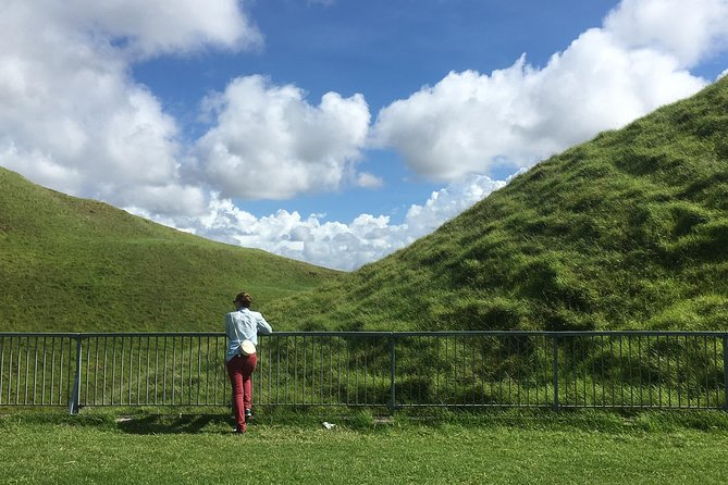 Shore Excursion: Half-Day Auckland Volcanoes Tour - The Sum Up