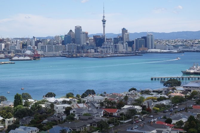 Shore Excursion: Half Day Small Group Auckland Scenic Tour - 4 HOURS - Booking and Availability
