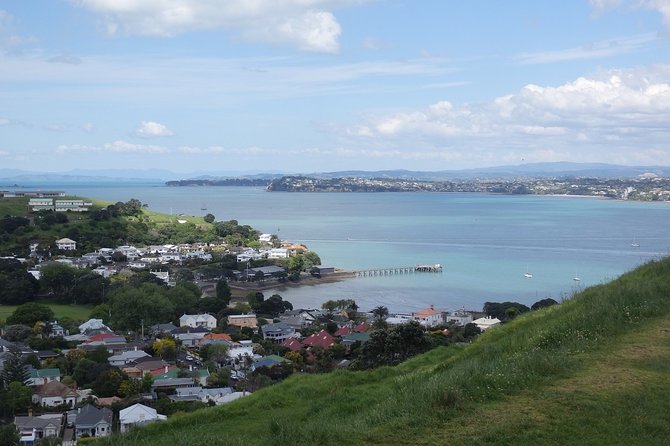 Shore Excursion: Half Day Small Group Auckland Scenic Tour - 4 HOURS - Tour Overview