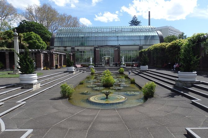Shore Excursion: Half Day Small Group Auckland Scenic Tour - 4 HOURS - Meeting and Pickup