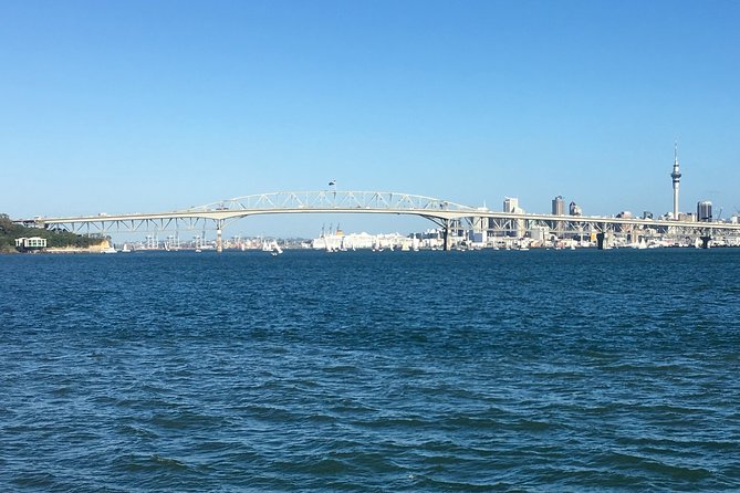 Shore Excursion: Half Day Small Group Auckland Scenic Tour - 4 HOURS - The Sum Up