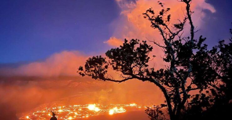 Shore Excursion - Half Day Volcanoes National Park - Experience Highlights