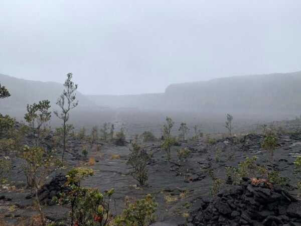 Shore Excursion - Half Day Volcanoes National Park - Make the Most of Your Time on the Big Island