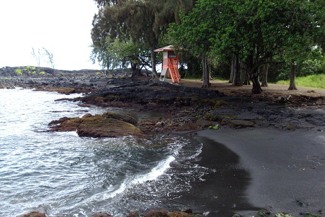 Shore Excursion: Hawaii Volcano Adventure Tour From Hilo - Highlighted Experiences and Lunch Provision on the Tour