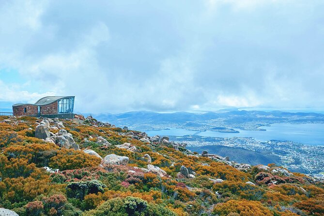 Shore Excursion: Hobart & Richmond Discovery Tour - Cancellation Policy Details