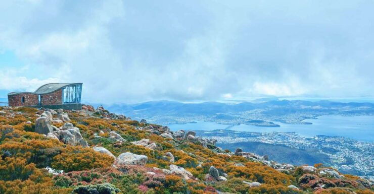 Shore Excursion: Hobart Wanderer - Booking Details