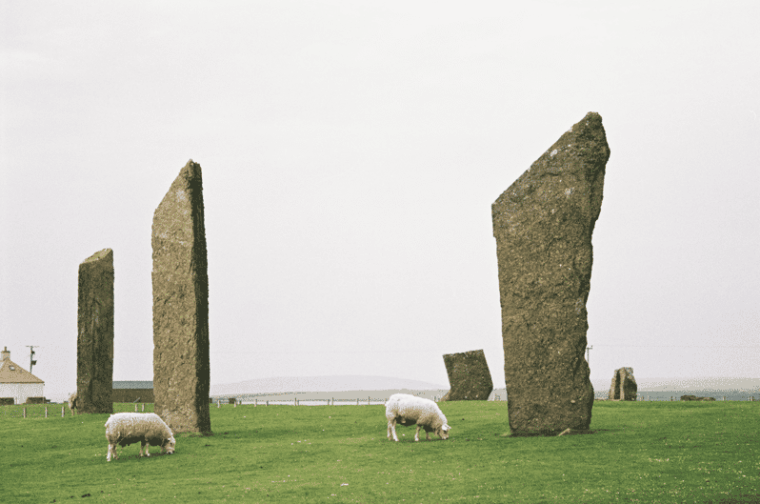 Shore Excursion Kirkwall: Small Group Highlights of Orkney - Who Might Want to Consider Alternatives?