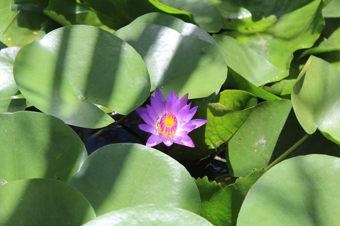 Shore Excursion: MARBLE MOUNTAIN & HOI an CITY From TIEN SA PORT - Common Questions