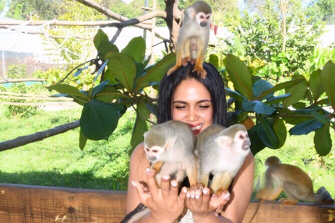 Shore Excursion Monkey Encounter and Puerto Plata City Tour - In-Depth Look at the Tour Experience