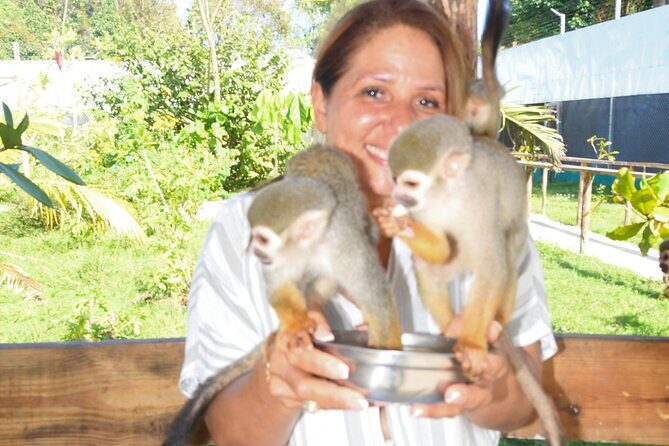Shore Excursion Monkey Encounter and Puerto Plata City Tour - The Sum Up