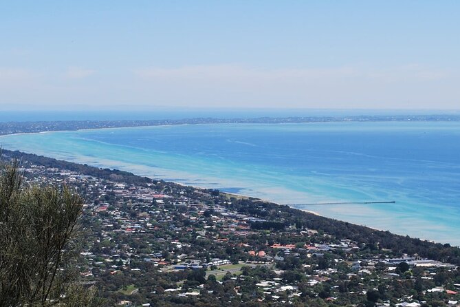 Shore Excursion Mornington Peninsula, Kangaroos, Lunch & Wine - Terms and Conditions