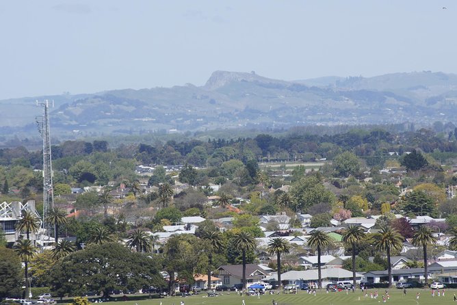 Shore Excursion: Napier and Surrounding Countryside Scenic Tour - Tour Details