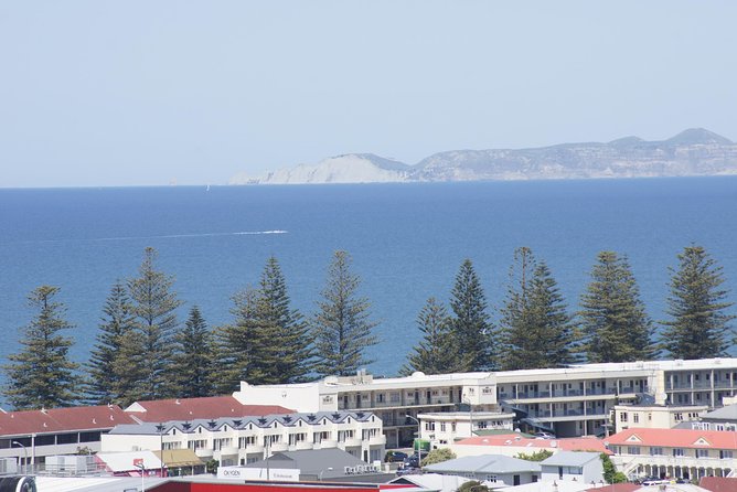 Shore Excursion: Napier and Surrounding Countryside Scenic Tour - Pickup and End Point Details