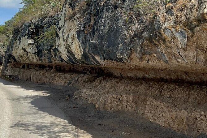 Shore Excursion: North and South Sides of Bonaire - FAQ