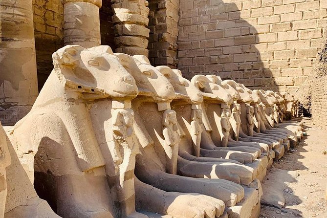Shore Excursion - One Day Luxor Private Tour From Safaga Port - Pricing Information