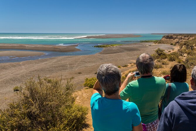 Shore Excursion Peninsula Valdes With All Inclusive-Puerto Madryn - Excursion Highlights
