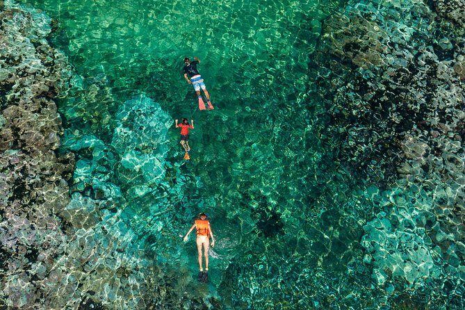 Shore Excursion Premium Family Snorkeling Experience - Practical Tips for Travelers