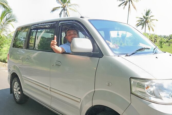 Shore Excursion: Private Bali Car Rental Service - Duration and Services