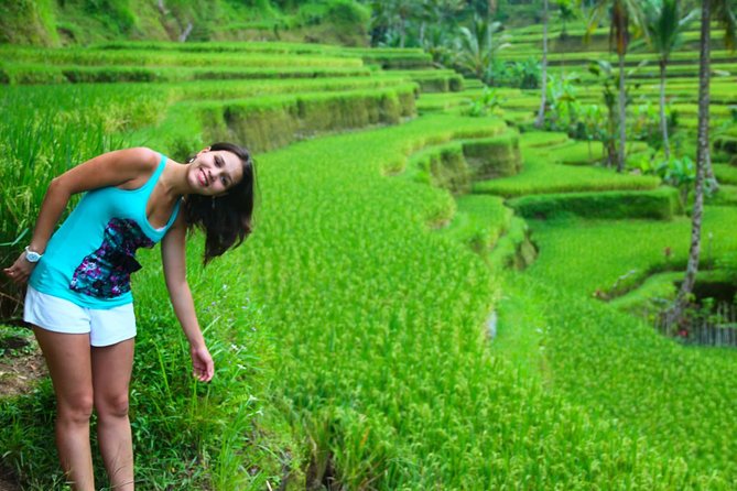 Shore Excursion : Private Tours to Ubud Art Village and Surrounding Area - Itinerary Details