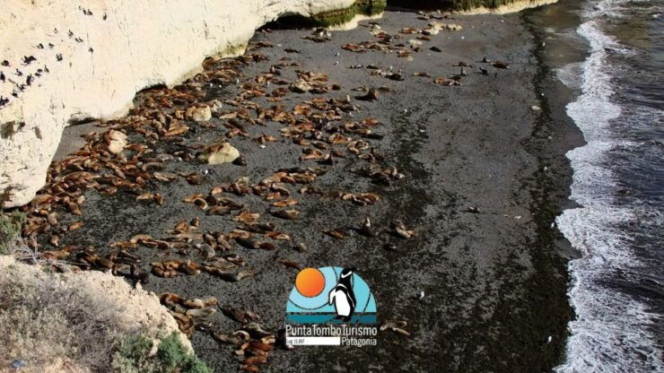Shore Excursion: Punta Lomacity Tour, for Cruise Passengers - Activity Details