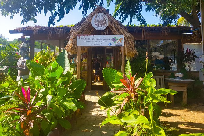 Shore Excursion: Roatan Hop On Hop Off Bus Tour and Beach - Tour Highlights