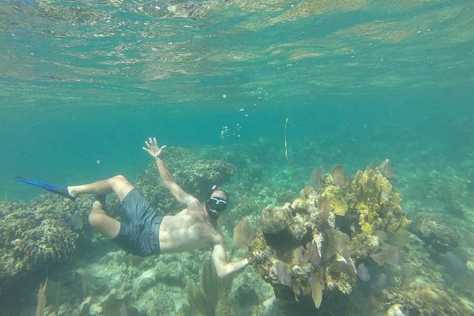 Shore Excursion: Roatan Monkey and Sloth Park and Snorkel - Tour Overview