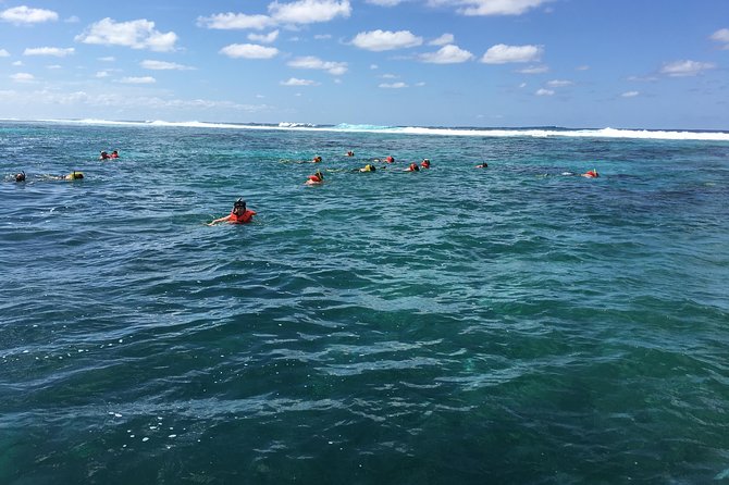 Shore Excursion: Roatan Monkey/Sloths Hang-Out With Shipwreck Snorkel - Tour Highlights