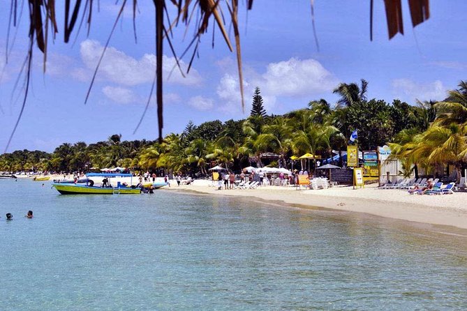 Shore Excursion: Roatan Private VIP Customizable Island Tour - Tour Highlights