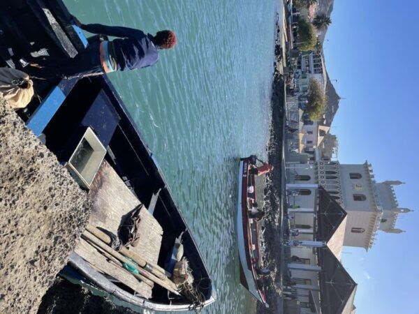 Shore Excursion: São Vicente, Full Day, 6h - Frequently Asked Questions