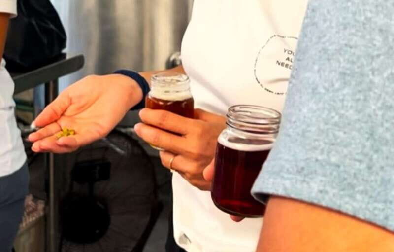 Shore Excursion: Savor Cozumel with Tacos, Beer & Mezcal - Exploring the Tour in Detail