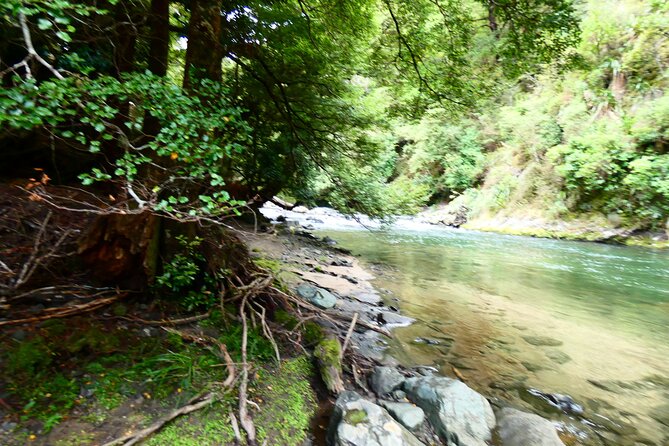 Shore Excursion: Scenic Rafting From Napier - Rafting on the Mohaka River