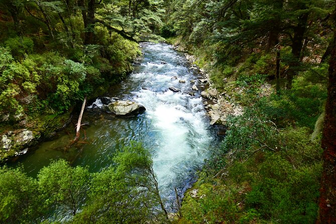 Shore Excursion: Scenic Rafting From Napier - Common Questions