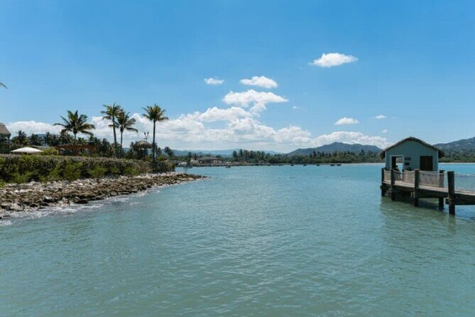 Shore Excursion Small Group Damajagua Falls with Rum Punch - The Sum Up: Who Is This Tour Best For?