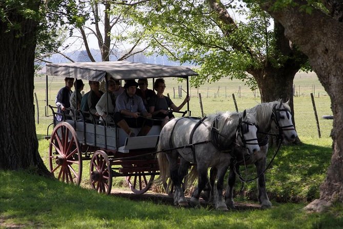 Shore Excursion: Small Group Estancia Tour to San Antonio De Areco - Tour Overview