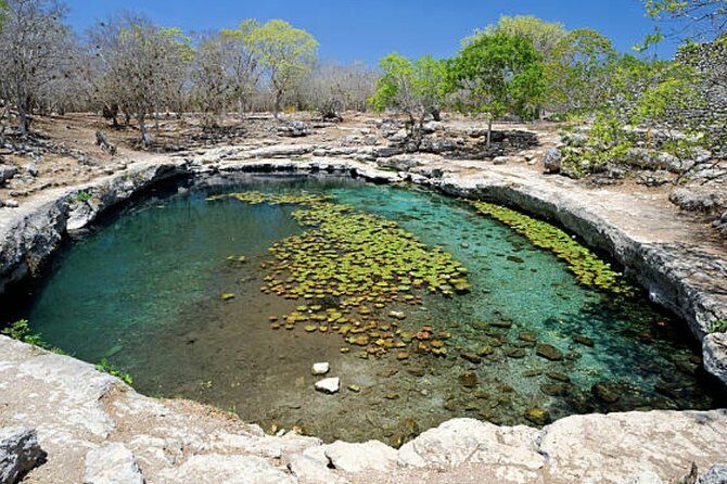 Shore Excursion: The Wonders of Progesso with Beach, Food & Drink - Good To Know