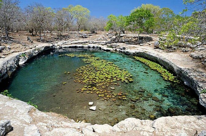 Shore Excursion: The Wonders of Progesso with Beach, Food & Drink - Who Should Consider This Tour?