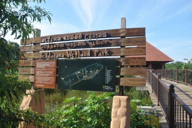 Shore Excursion to Colombo Wetland & Bird Watching by Car - Highlights