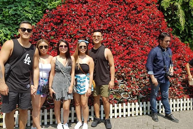 Shore Excursion to GOLDEN BRIDGE via CABLE CAR From CHAN MAY or TIEN SA Port - Transportation to Golden Bridge