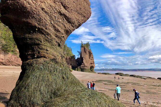 Shore Excursion to Hopewell Rocks and Fundy National Park - Discovering Hopewell Rocks: The Star of the Day