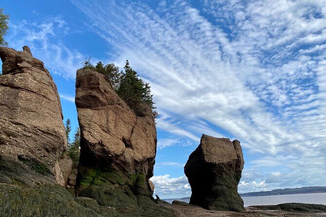 Shore Excursion to Hopewell Rocks and Fundy National Park - Practical Considerations: Transportation, Cost, and Duration