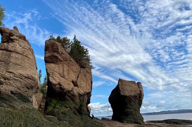 Shore Excursion to Hopewell Rocks and Fundy National Park - Authentic Insights from Reviews