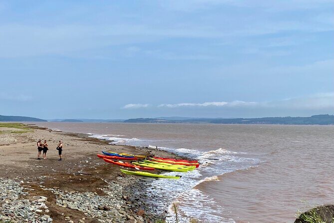 Shore Excursion to Hopewell Rocks and Fundy National Park - FAQ