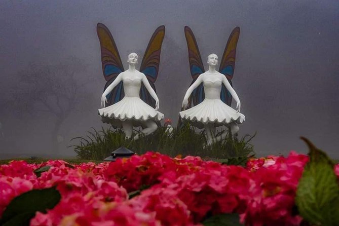 Shore Excursion to Visit GOLDEN BRIDGE BA NA From TIEN SA or CHAN MAY HUE Port - Booking Information