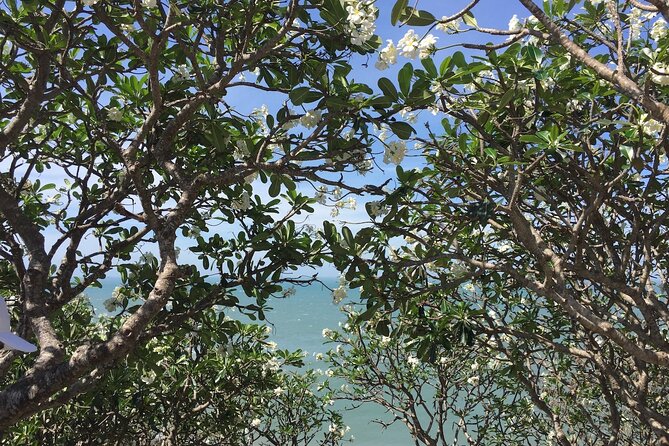 Shore Excursion: VUNG TAU CITY TOUR From PHU MY PORT - The Sum Up