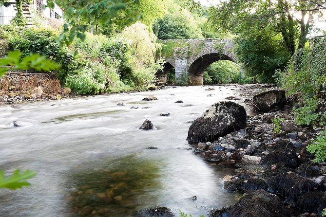 Shore Excursion: Wicklow Mountains, Avoca & Glendalough Rail Tour - Customer Reviews and Testimonials