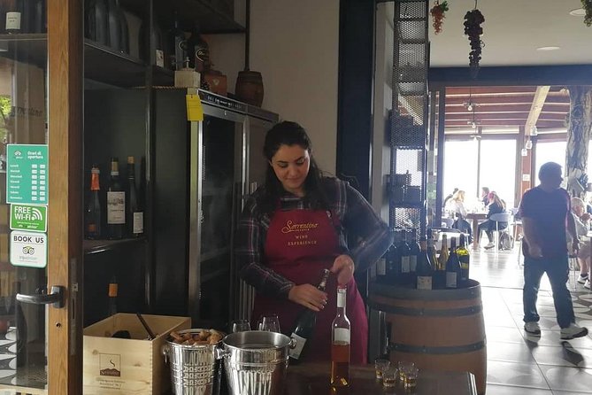 Shore Excursion With Wine & Food Tasting at Cantina Del Vesuvio Winery - Reviews of Cantina Del Vesuvio Winery