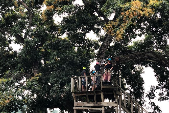 Shore Excursion: Zip Line Adventure - Additional Info