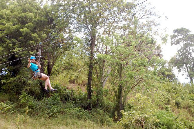 Shore Excursion: Zip Line Adventure - Cancellation Policy