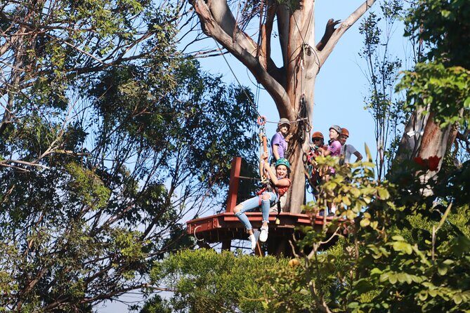 Shore Excursion Zipline Tour for Pride Of America Passengers - An In-Depth Look at the Zipline and Upcountry Maui Adventure