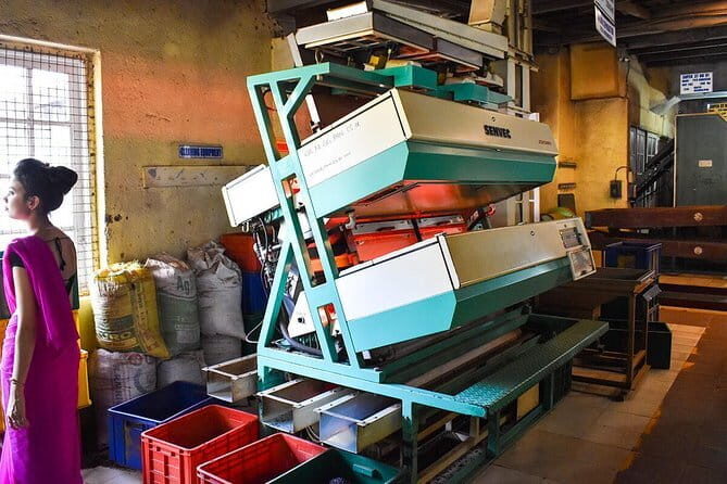 Shore Excursions Colombo Port Passenger Terminal to Kandy By Car. - The Itinerary: A Closer Look